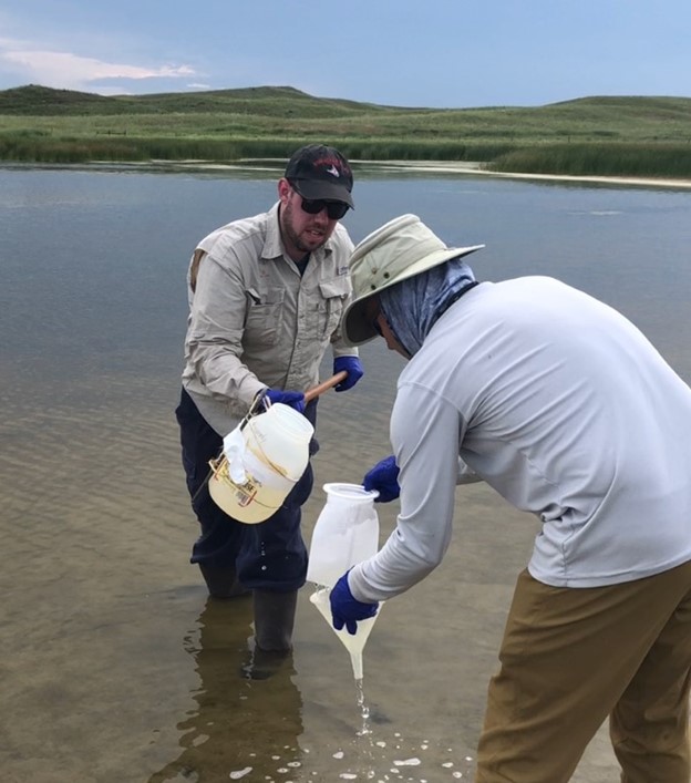 Dr. Dums and Dr. Rob Ferrell standing in Kokjohn lake in Western Nebraska (pH of 10.6 at the time) in August 2019. They are using a mayonnaise jar tied to a snake wrangling pole to collect water samples to discover what viruses and microbes are in the water of the lake. Dr. Ferrell is holding the filter and funnel system they used to do some quick filtering in the field to remove large particulates.