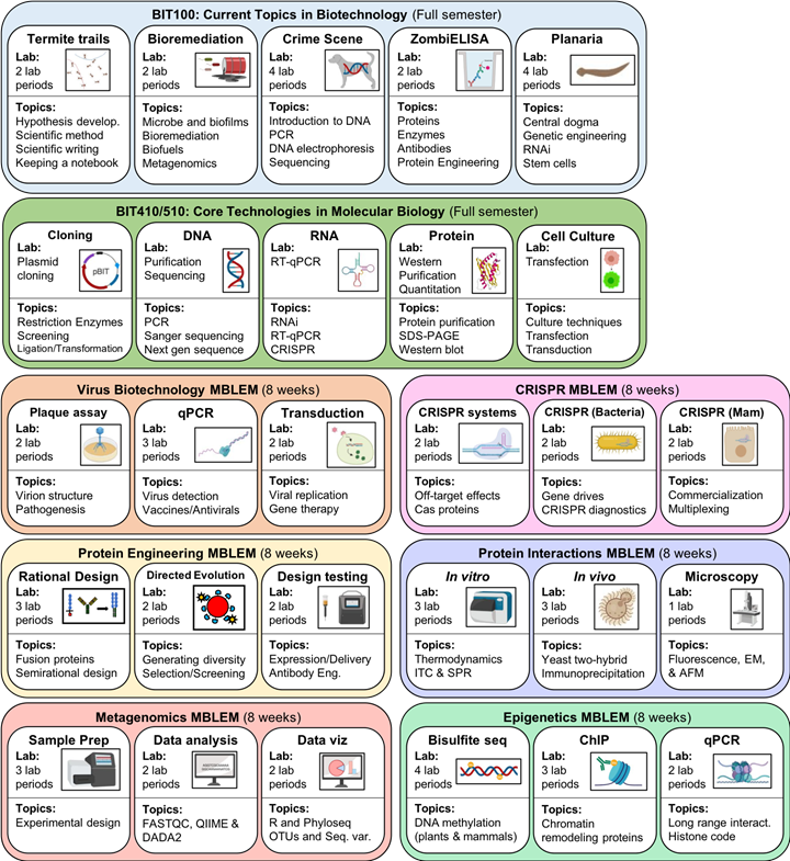 Diagram with several courses and their activities.
BIT 100: Current Topics in Biotechnology
BIT 410/510: Core Technologies in Molecular Biology
Eight-week MBLEMs
Virus Biotechnology MBLEM
CRISPR MBLEM
Protein Engineering MBLEM
Protein Interactions MBLEM
Metagenomics MBLEM
Epigenetics MBLEM