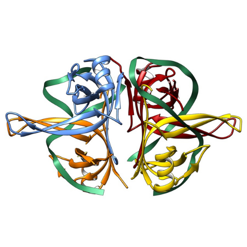 BIT 473/573: Protein interactions