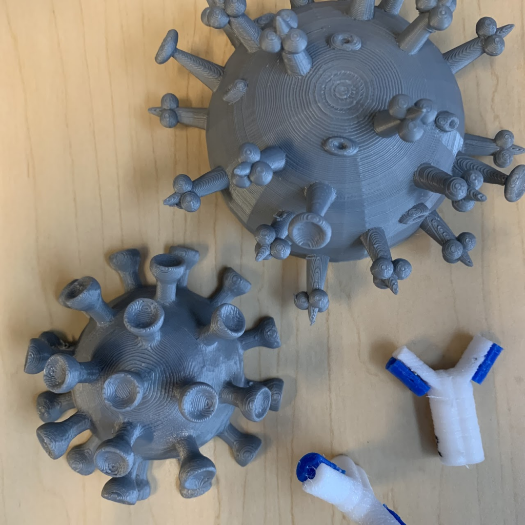 Photo of the 3D printed model of the antibodies (white and blue; upper right) and antigens (gray domes). Students could swap out the blue arms (light chains) to allow the antibodies to bind to different shapes of antigens.