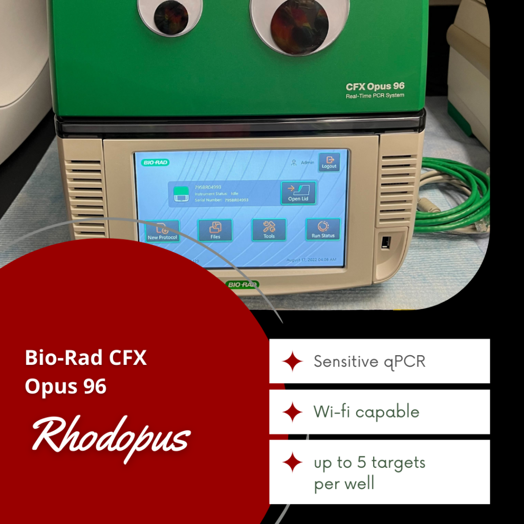 Bio-Rad CFX Opus 96 "Rhodopus"