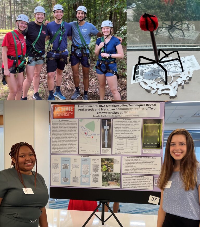 Nc state bit sure biotechnology program bit 