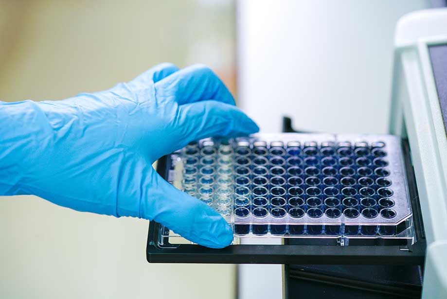 gloved hand placing a 96-well plate into a plate reader