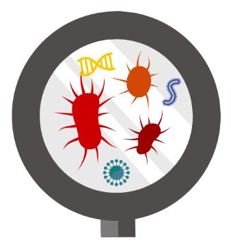 BIT Metagenomics logo with magnifying glass and illustration of three microbes, a worm, a virus, and DNA in NC State colors. 