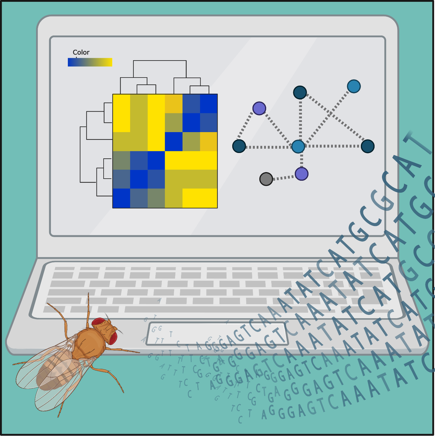 Illustration of computer with heatmaps and fly