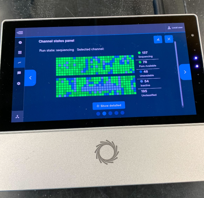 Screen for MinION Mk1C sequencing with numerous green squares indicating active pores. 