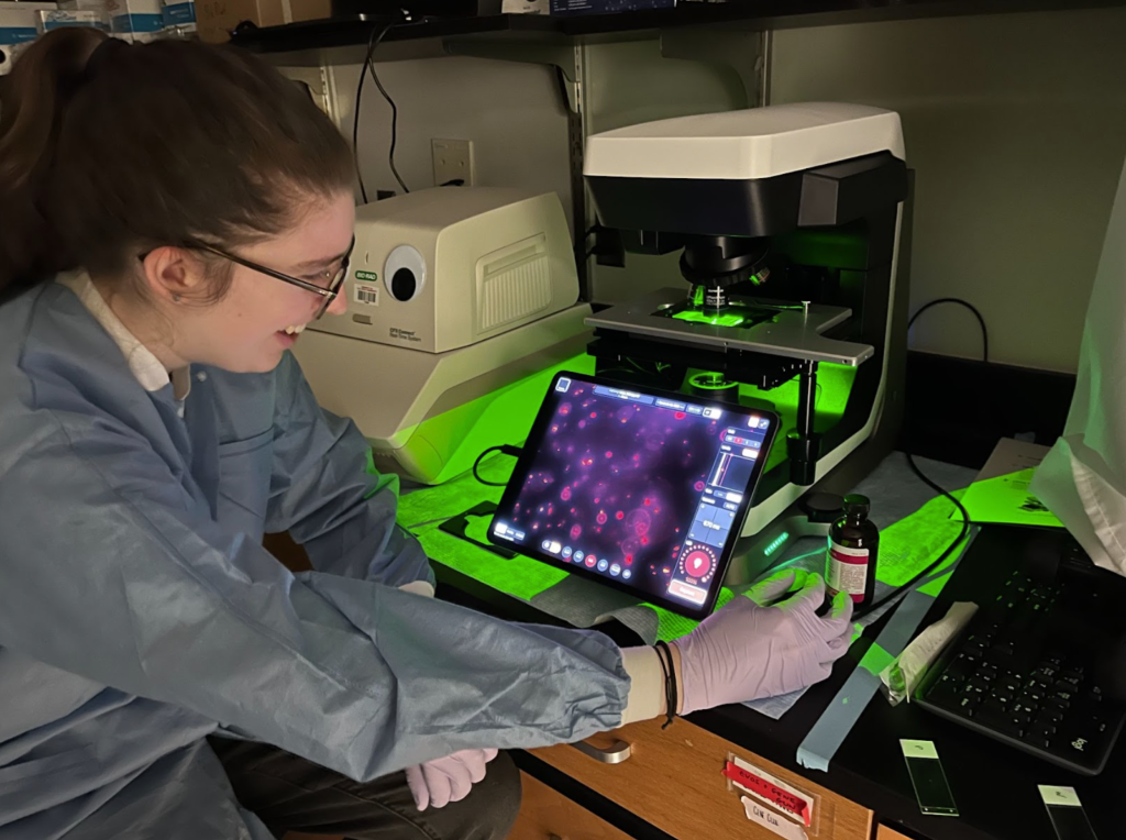 Undergraduate student Sarah Fletcher looks at the red fluorescence in one of the CRISPR-inducing plasmids during her summer research with Dr. Brown.