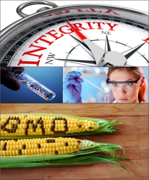 Genetically modified corn, a DNA diagram in a test tube, and an integrity compass.